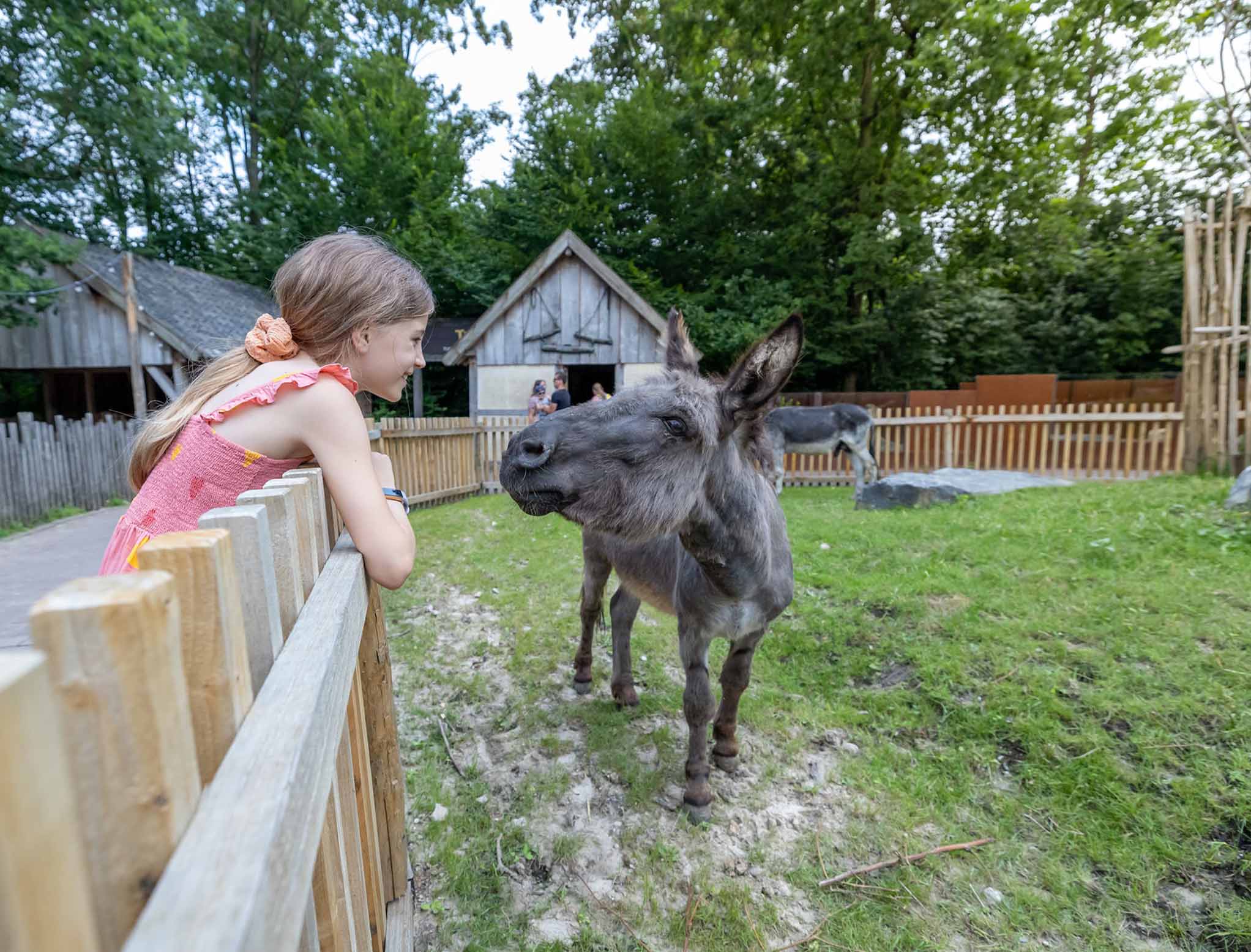 Schoolreisjes-gaiazoo-02